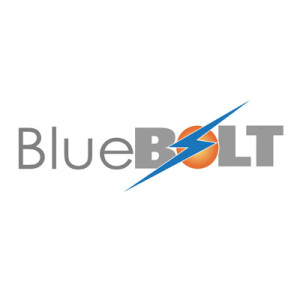 The Little Guys Bluebolt Logo