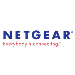 The Little Guys Netgear Logo